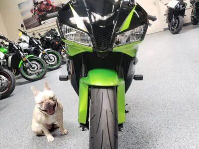 2009 Honda CBR600RR