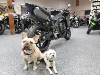 2012 Yamaha R1 RAVEN
