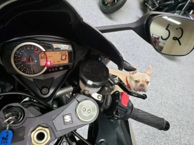 2009 Suzuki GSXR 1000
