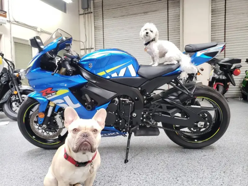 2015 Suzuki GSXR 750