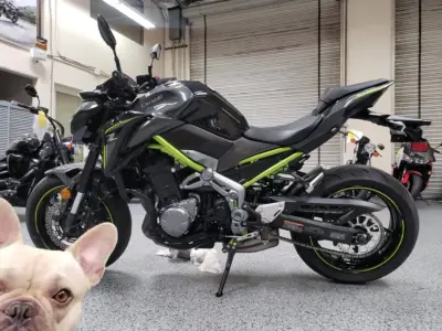 2017 Kawasaki Z900 ABS