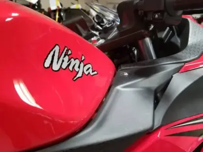 2016 Kawasaki Ninja 300 (50 MILES)