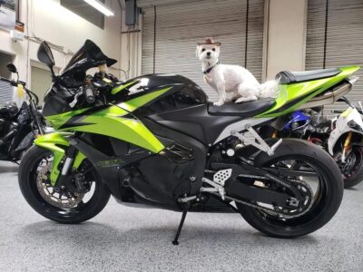 2009 Honda CBR600RR