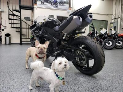 2012 Yamaha R1 RAVEN