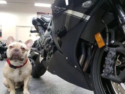 2012 Yamaha R1 RAVEN