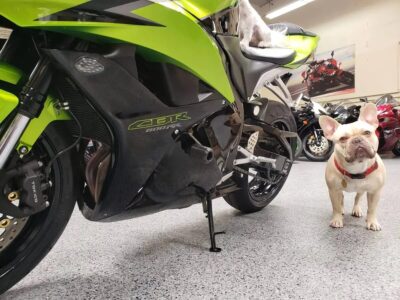2009 Honda CBR600RR