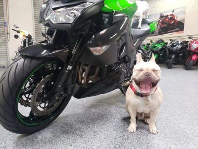 2013 Kawasaki Z1000