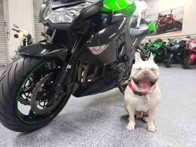 2013 Kawasaki Z1000