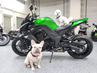 2013 Kawasaki Z1000
