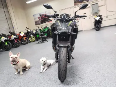 2017 Kawasaki Z900 ABS