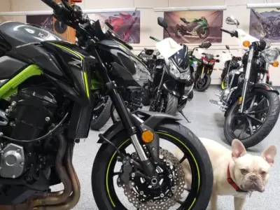 2017 Kawasaki Z900 ABS