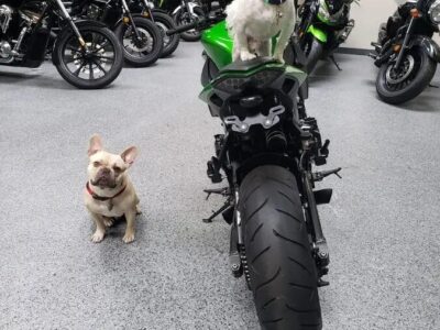 2013 Kawasaki Z1000