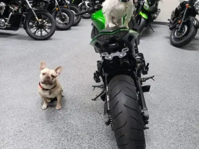 2013 Kawasaki Z1000