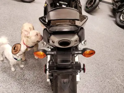 2015 Honda CBR600RR