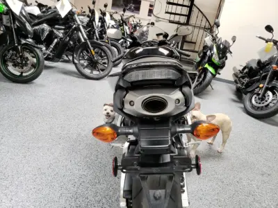 2015 Honda CBR600RR