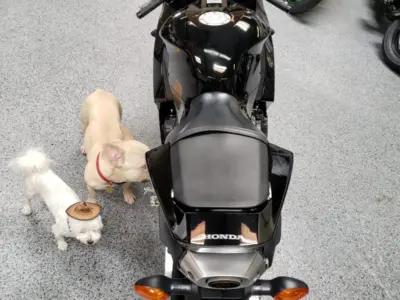2015 Honda CBR600RR