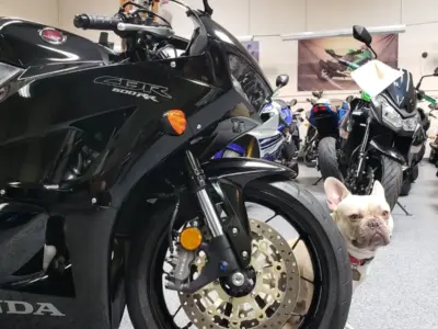 2015 Honda CBR600RR