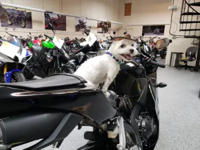 2015 Honda CBR600RR