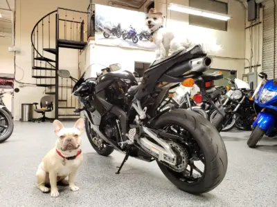 2015 Honda CBR600RR