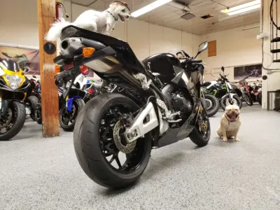 2015 Honda CBR600RR