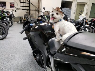 2015 Honda CBR600RR