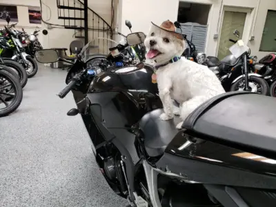 2015 Honda CBR600RR