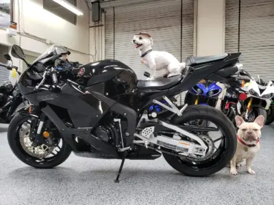2015 Honda CBR600RR