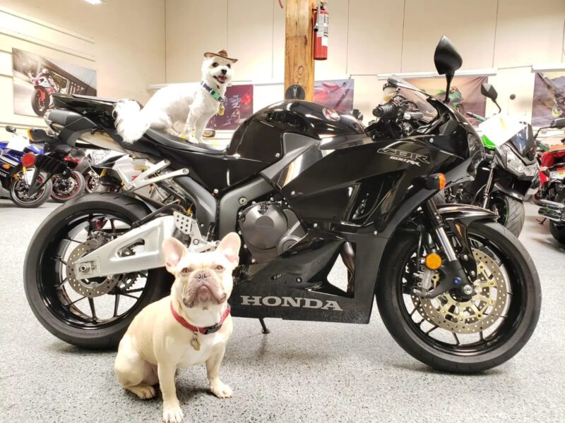 2015 Honda CBR600RR