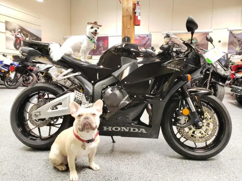2015 Honda CBR600RR