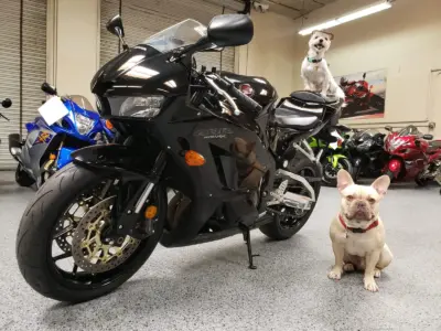 2015 Honda CBR600RR