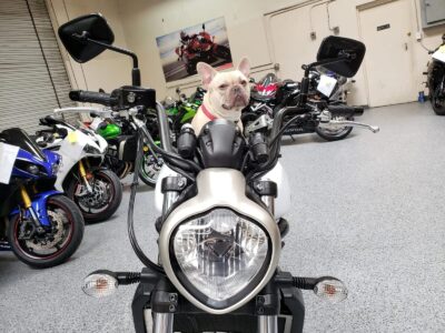 2015 Kawasaki Vulcan S ABS