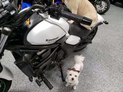 2015 Kawasaki Vulcan S ABS