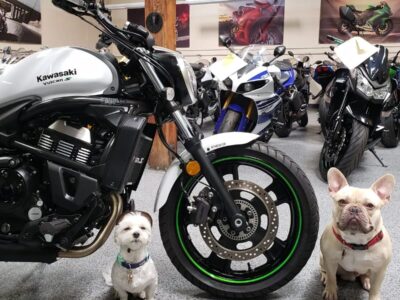 2015 Kawasaki Vulcan S ABS