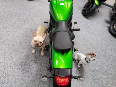 2015 Kawasaki Vulcan S ABS