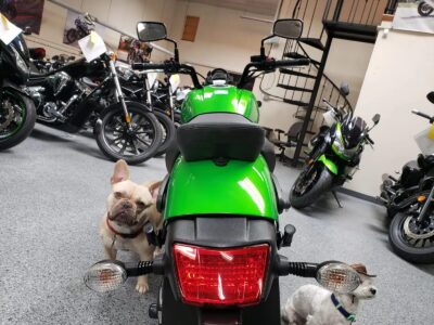 2015 Kawasaki Vulcan S ABS