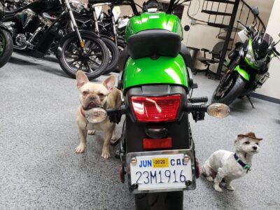 2015 Kawasaki Vulcan S ABS