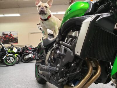 2015 Kawasaki Vulcan S ABS