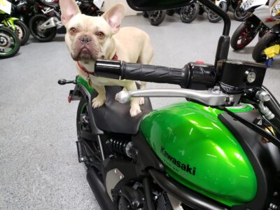 2015 Kawasaki Vulcan S ABS