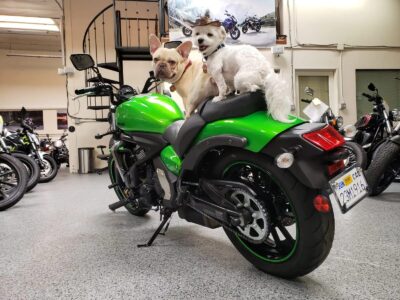 2015 Kawasaki Vulcan S ABS