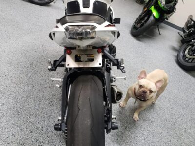 2015 Triumph Daytona 675R