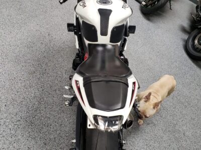 2015 Triumph Daytona 675R