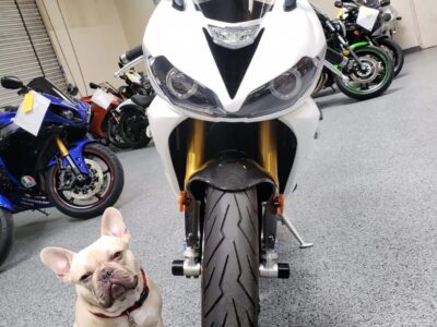 2015 Triumph Daytona 675R