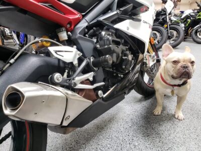 2015 Triumph Daytona 675R