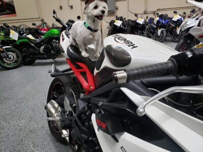2015 Triumph Daytona 675R