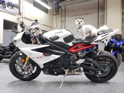 2015 Triumph Daytona 675R