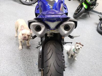 2012 Yamaha R1