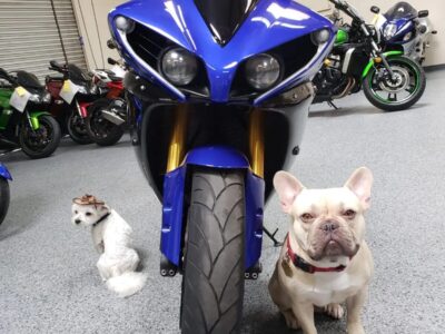 2012 Yamaha R1