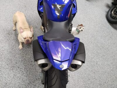 2012 Yamaha R1