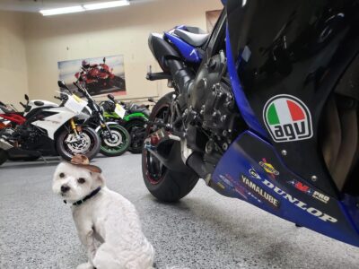 2012 Yamaha R1
