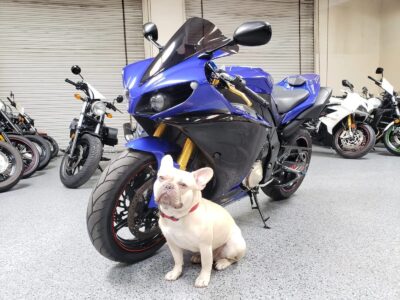 2012 Yamaha R1